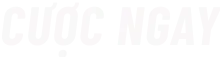 button cược ngay
