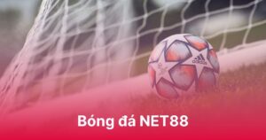 Bóng đá NET88 - Cập nhật mọi trận đấu, cháy trên sân cỏ