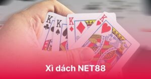 Xì Dách NET88 - Thể hiện khả năng dự đoán đỉnh chóp