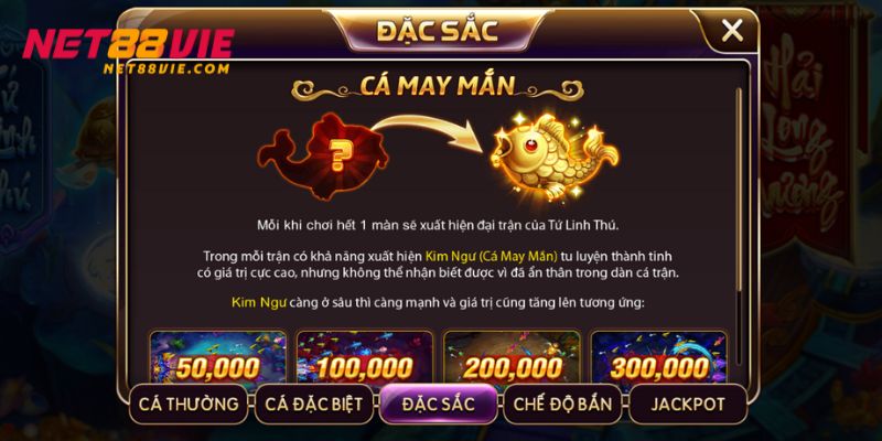Với cá may mắn tiền thưởng nhận được là vô cùng lớn