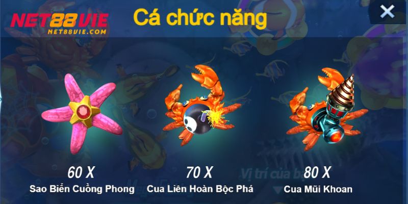 Những loại cá chức năng được cập nhật