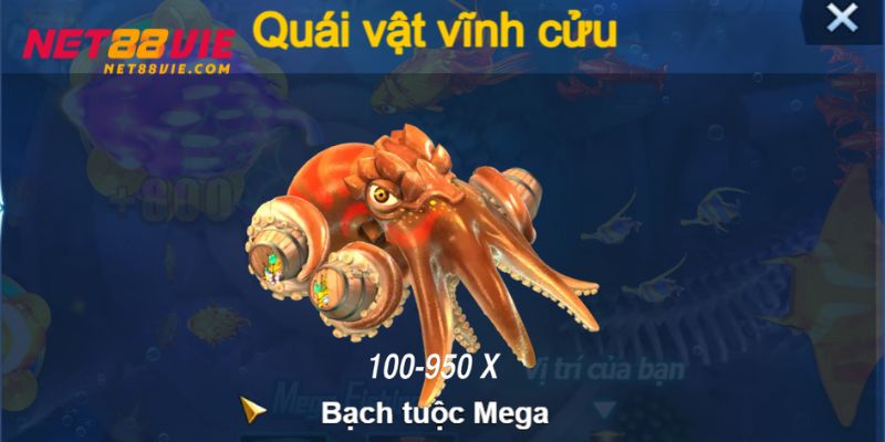 Bạch tuộc Mega mang đến tiền thưởng vô cùng lớn