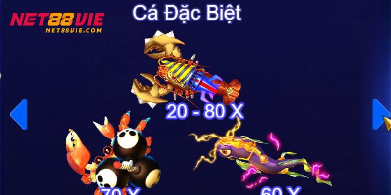 Những loài cá đặc biệt được hệ thống cung cấp