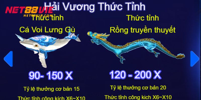 Hải Vương Thức Tỉnh ẩn chứa tiền thưởng giá trị
