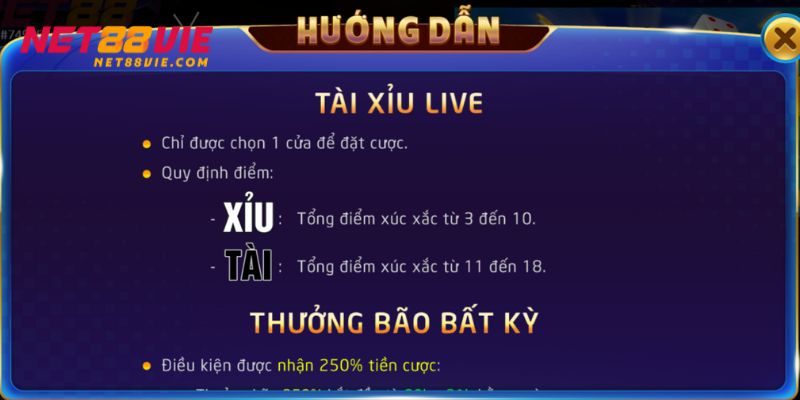 Người chơi tìm hiểu về cách đặt cược được nhà cái quy định